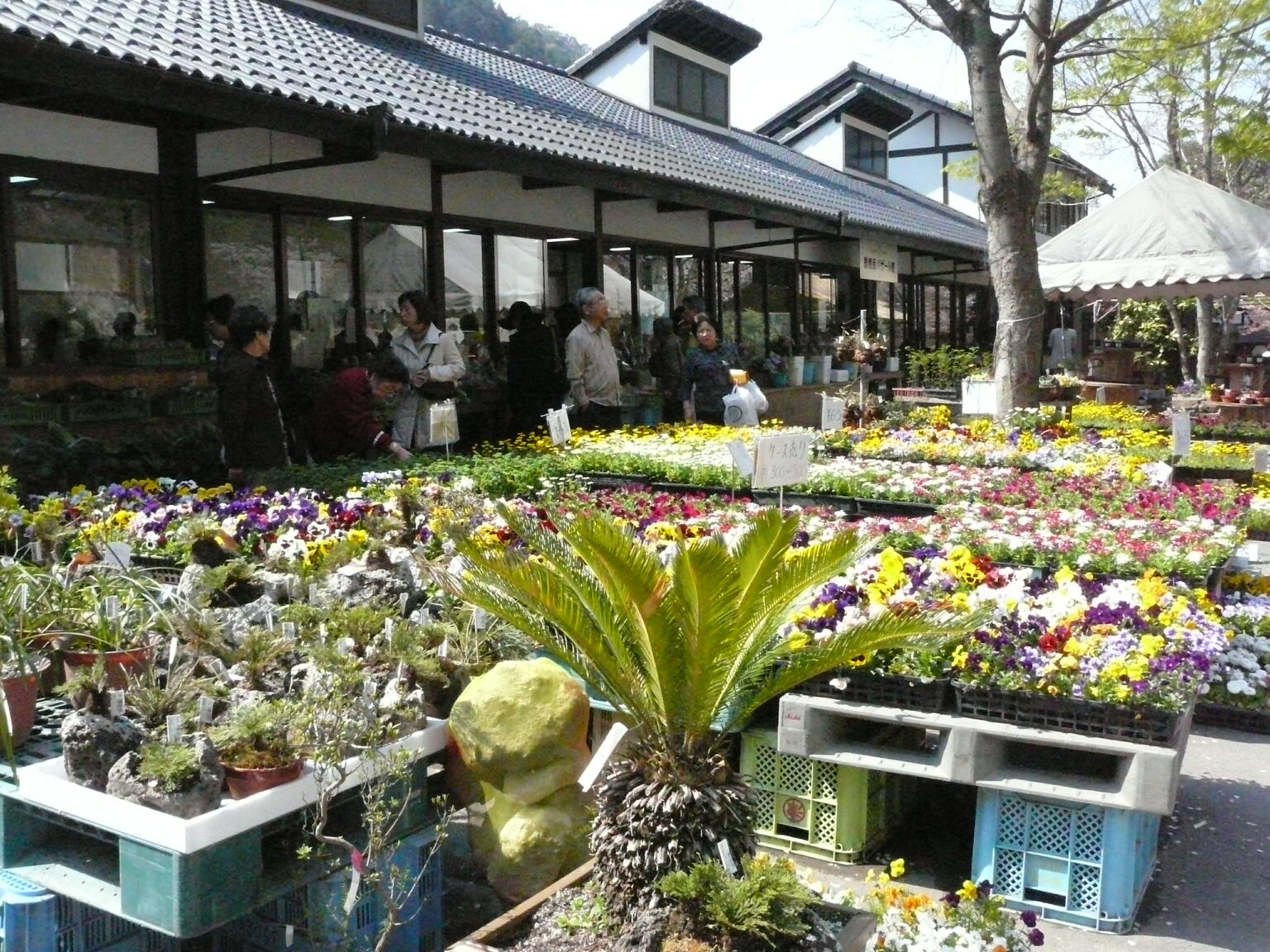 木の花ガルテンのいも饅頭