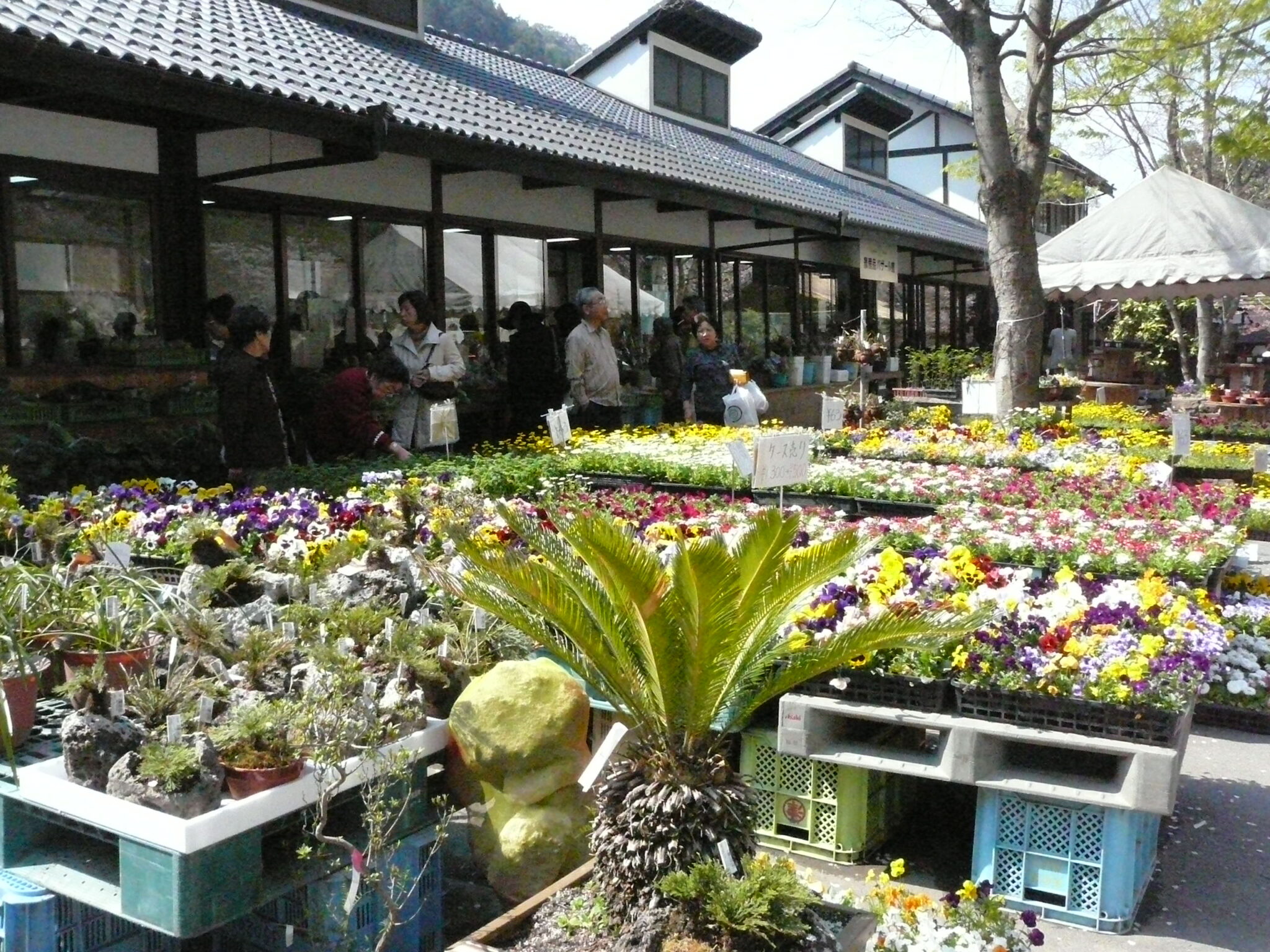木の花ガルテン 大分大山町農業協同組合