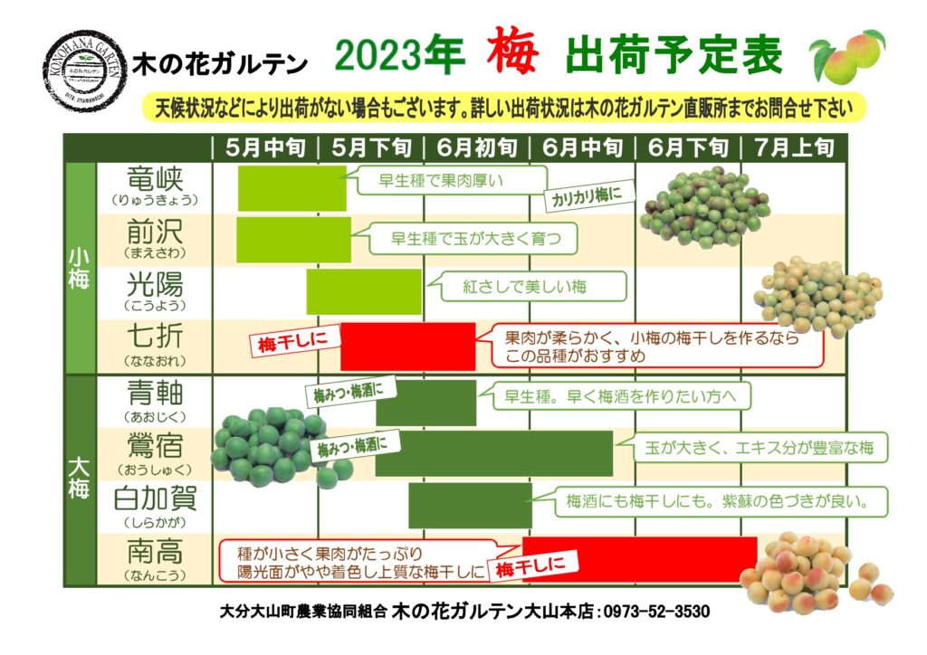 2023年 梅の出荷予定表 | 大分大山町農業協同組合