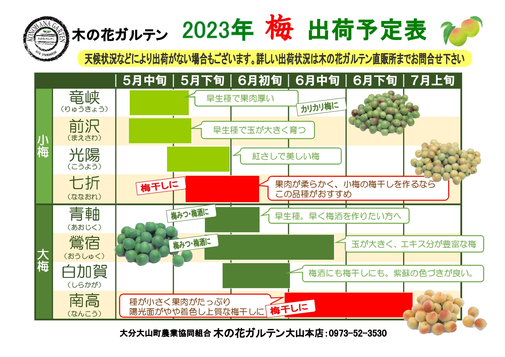 愛知県産 梅 8キロ 今週末収穫　5月1日発送予定 2023梅出荷予定表-0517.jpg