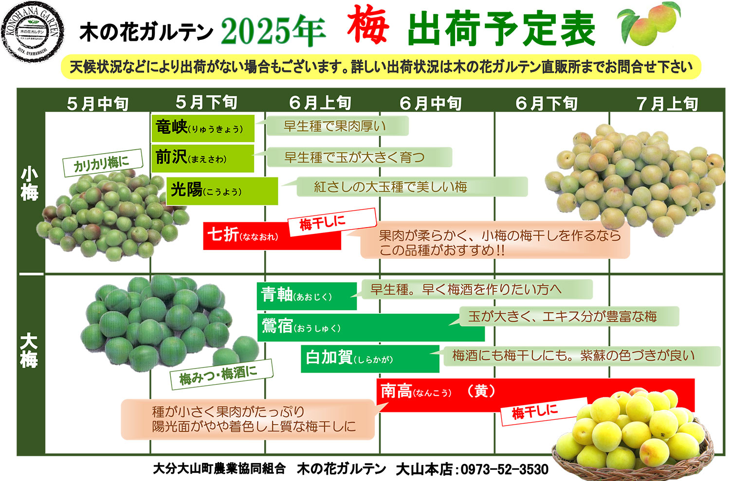 愛知県産 梅 8キロ 今週末収穫　5月1日発送予定 2025梅出荷予定表.jpg