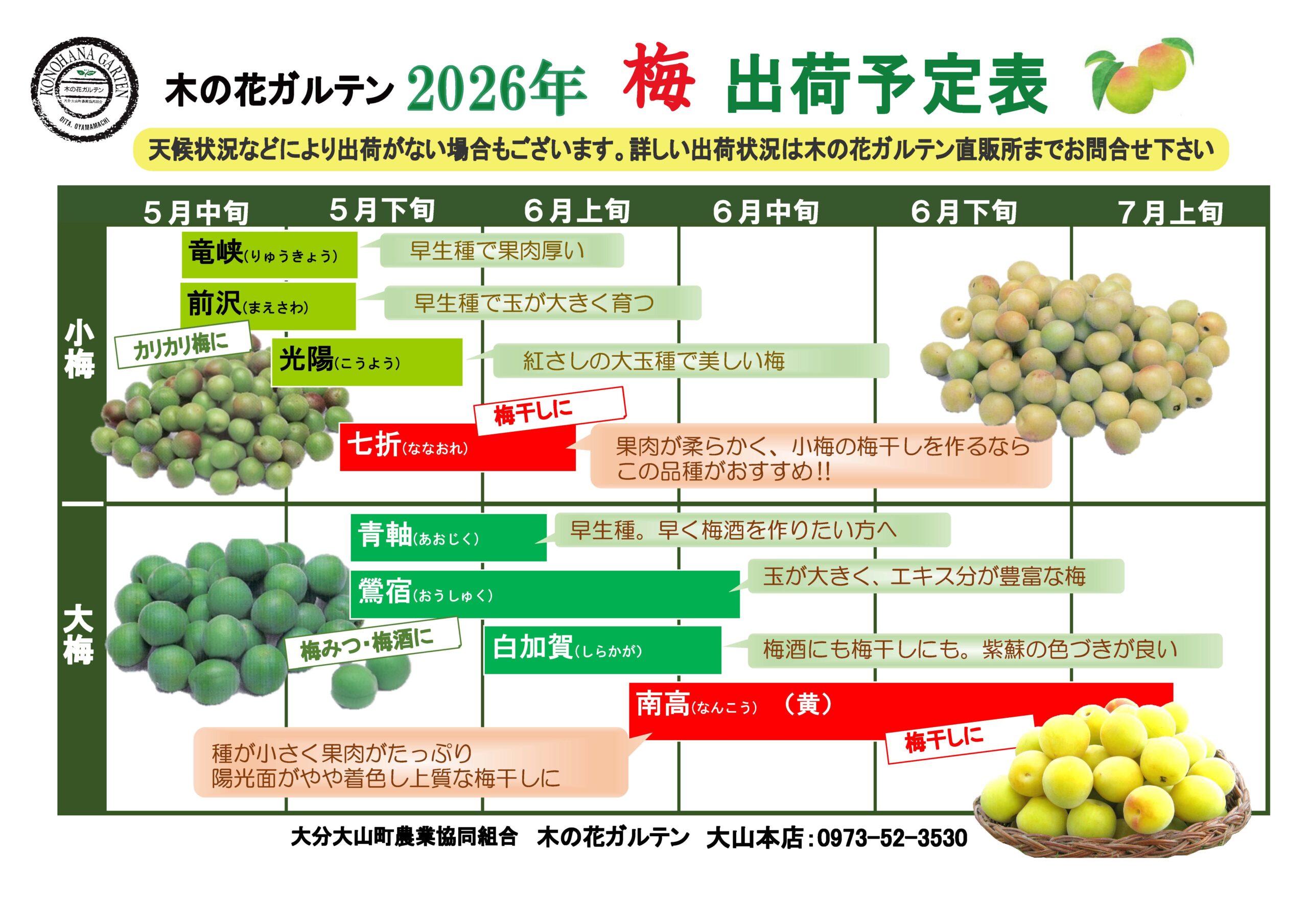 2026年の梅の状況 | 大分大山町農業協同組合